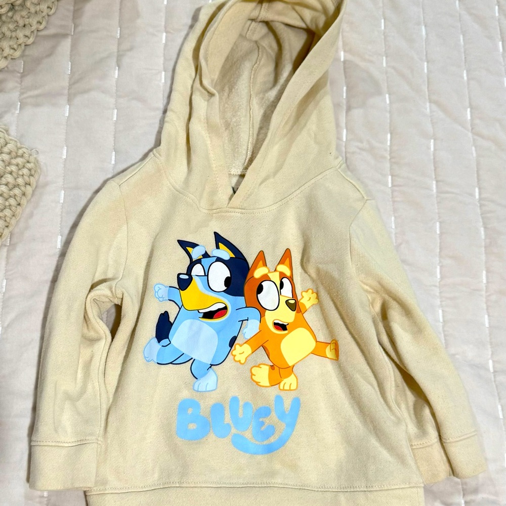 Bluey and Bingo hoodie